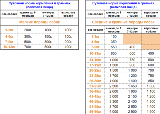 Суточная норма кормления собак