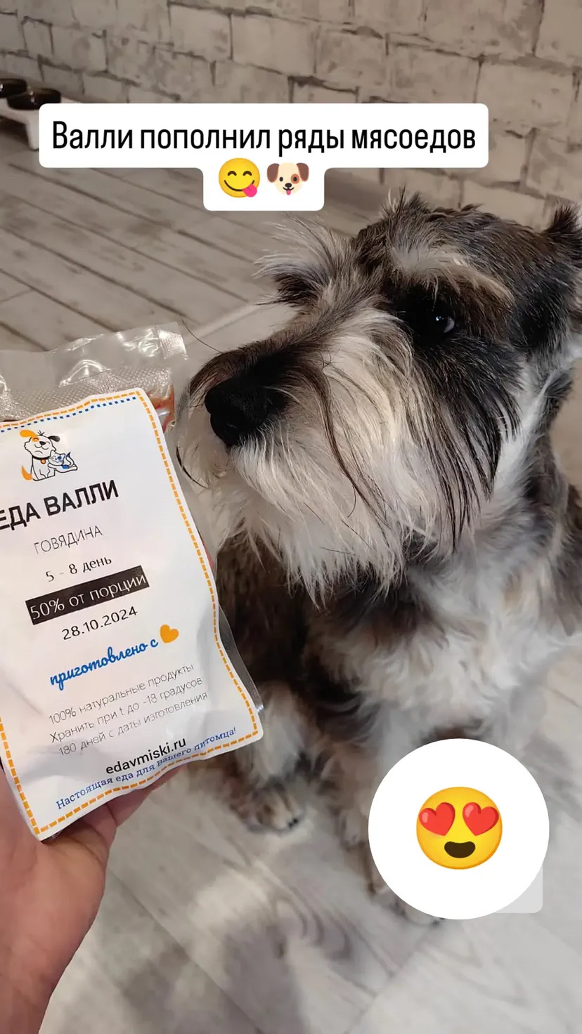 Индивидуальная порция ЕДА ВАЛЛИ — говядина